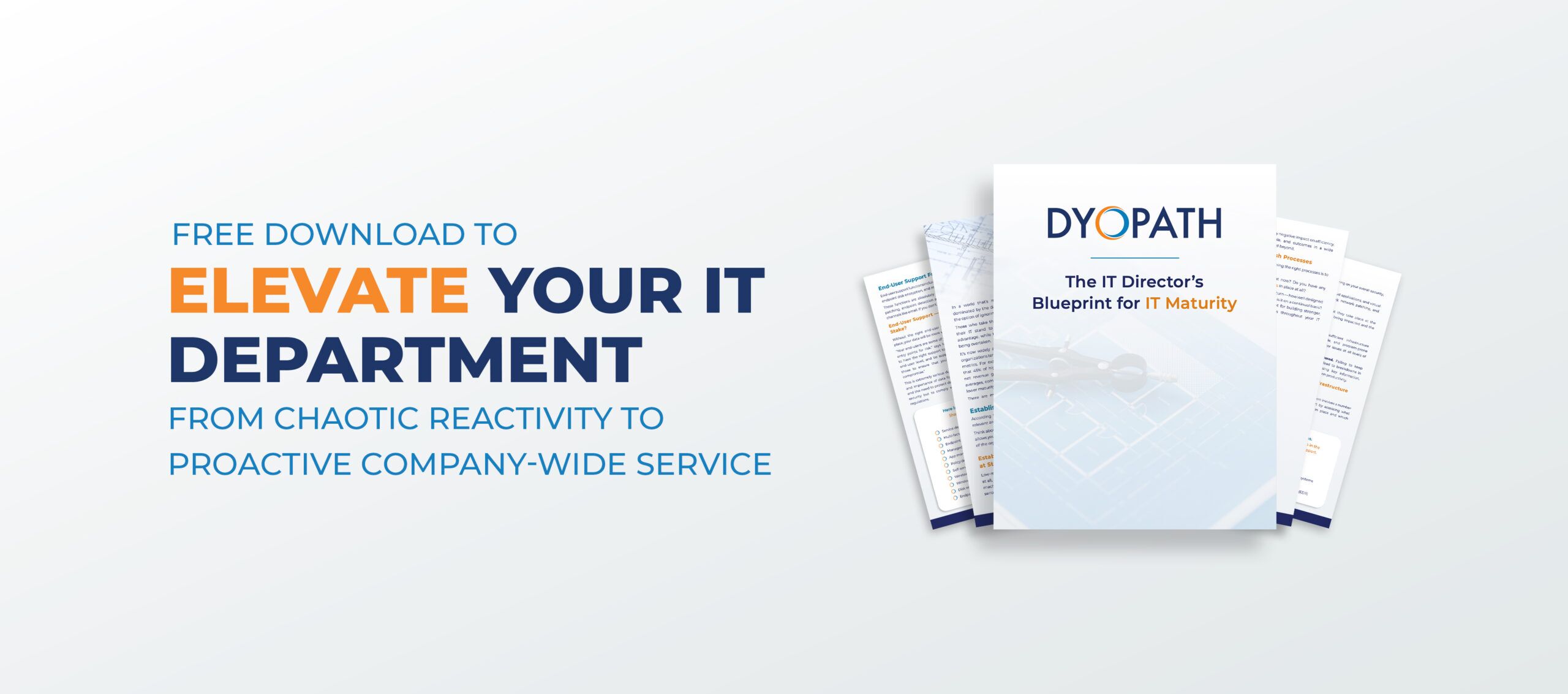 DYO-Blueprint-Squeeze-Header The IT Director's Blueprint for IT Maturity 1